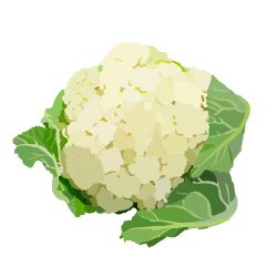 Blumenkohl