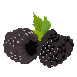 Brombeeren