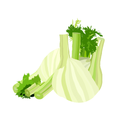 Fenchel