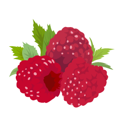 Himbeeren