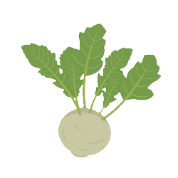 Kohlrabi