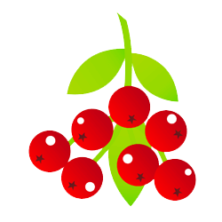 Preiselbeeren