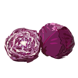 Rotkohl